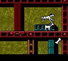 une photo d'Ã©cran de Les 102 Dalmatiens a la Rescousse sur Nintendo Game Boy Color